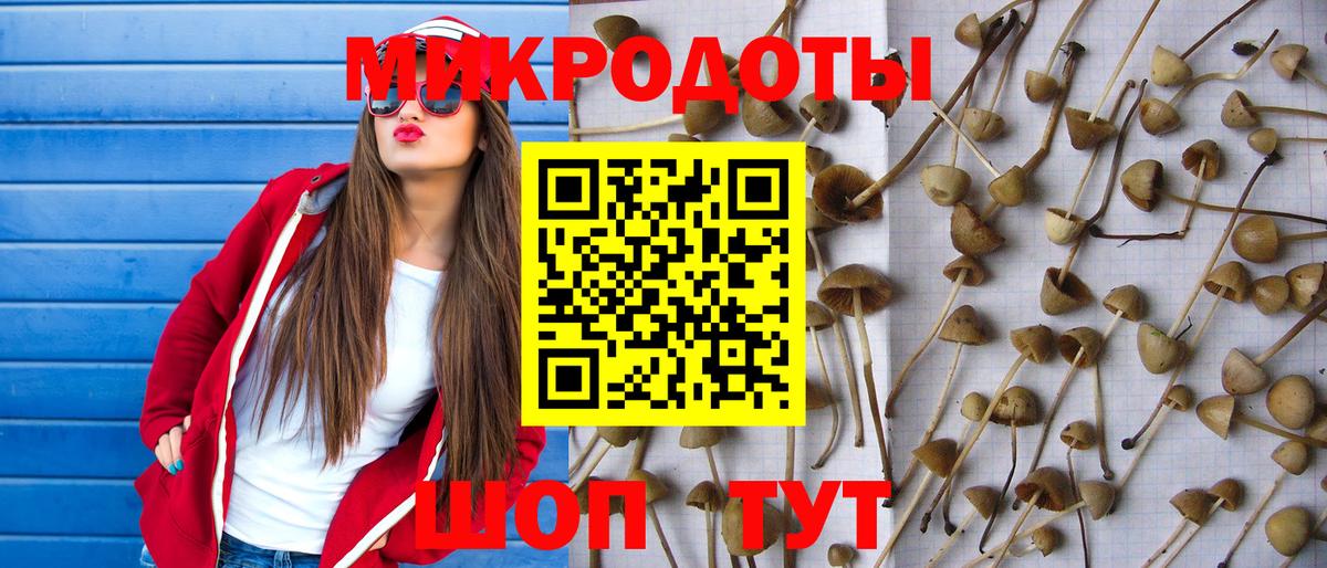 Псилоцибиновые грибы Psilocybine cubensis  где можно купить наркотик  Славянск-на-Кубани  Вход с VPN  Псилоцибиновые грибы прущие грибы 