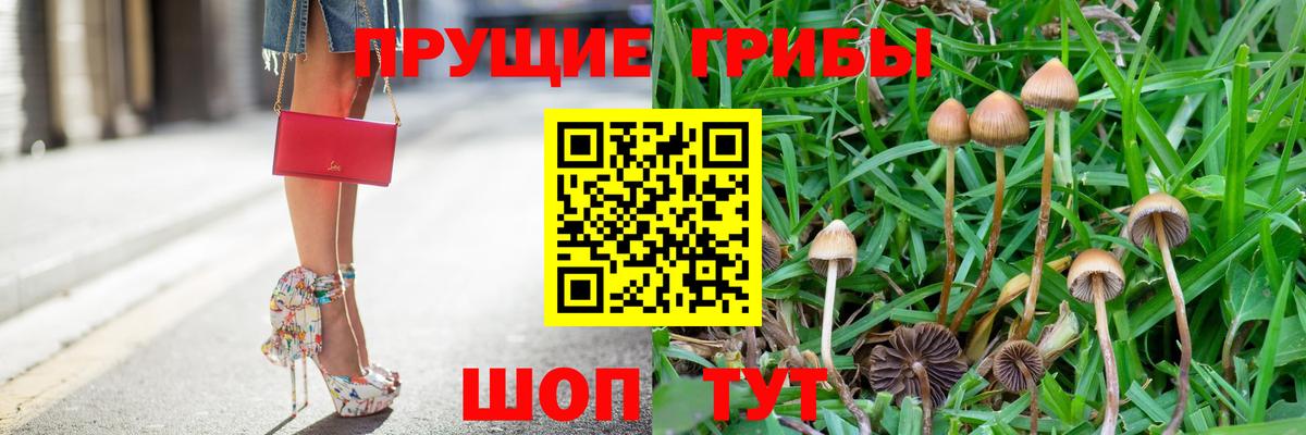 Галлюциногенные грибы прущие грибы Славянск-на-Кубани